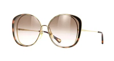 Pre-owned Chloé Hanah Ch0036s Havana/brown Shaded (002) Sunglasses