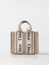 Chloé Small Woody Tote Bag In Dove Grey