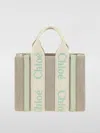 Chloé Mini Woody Tote Bag In Green