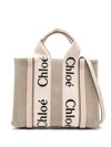 Chloé Small Woody Canvas Top Handle Bag In Brown