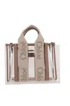 Chloé Women Mini Woody Tote Bag In Jelly In Blushy Beige