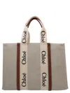 Chloé Woody Medium Tote Bag Multicolor In Multicoloured