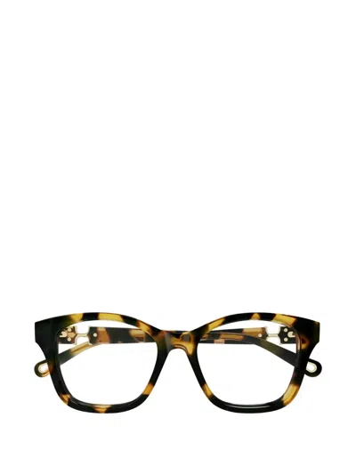 Chloé Havana Geometric Glasses