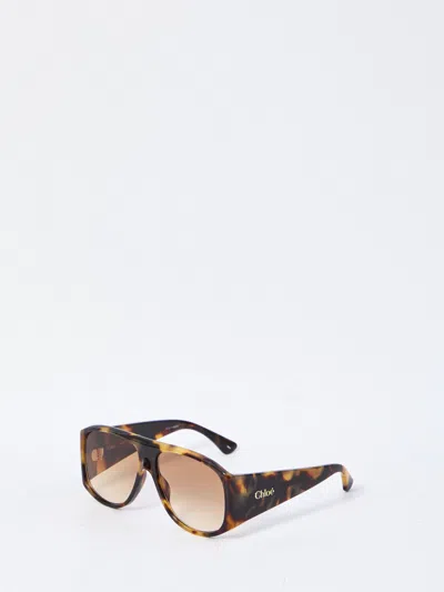 CHLOÉ CHLOÉ HAVANA SUNGLASSES
