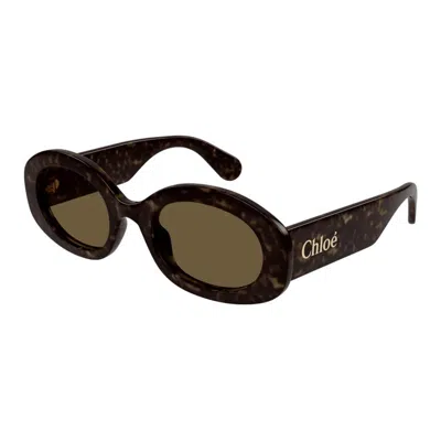 Chloé Havana-havana-brown Acetate Sunglasses In Neutral