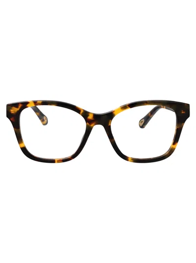 Chloé Havana-havana-transparent Recycled Acetate Glasses In Metallic