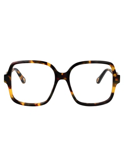 Chloé Havana-havana-transparent Recycled Acetate Glasses In Metallic