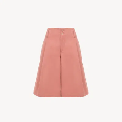 Chloé Bermuda Taille Haute Large En Coton In Pink