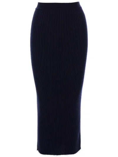 Chloé Long Knitted Pencil Skirt In Blue