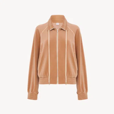 Chloé Veste De Survêtement Col Montant En Velours À Logo In Brown