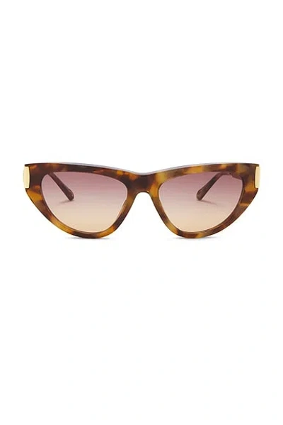 Chloé Holly Cat Eye Sunglasses In Multi