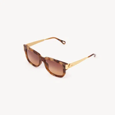 Chloé Holly Sunglasses In Brown