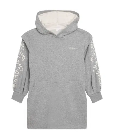 Chloé Hooded Long-sleeved Dress In Gray