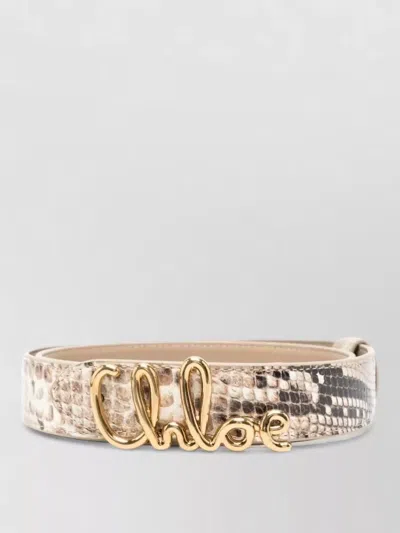 Chloé Iconic Belt Snake Print Adjustable Length In Gold