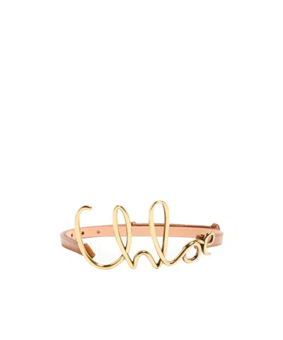 Chloé Iconic  Small Belt In Brown