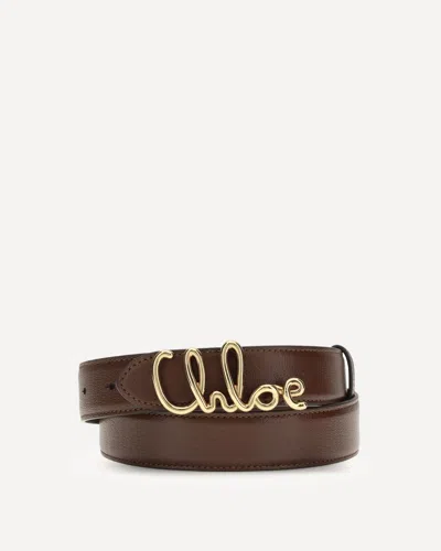 Chloé Iconic Leather Belt In Brown