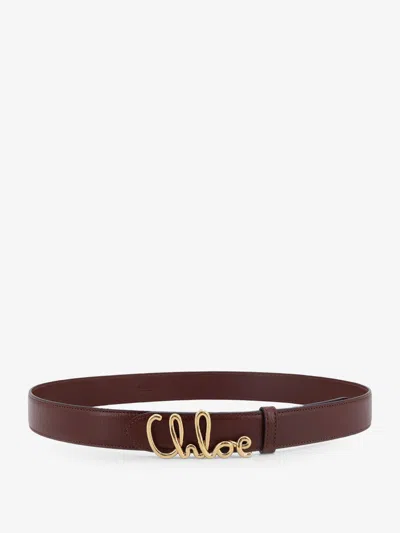 Chloé Iconic Leather Belt In Brown