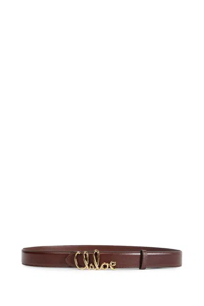 Chloé Iconic Logo Leather Belt In Brown