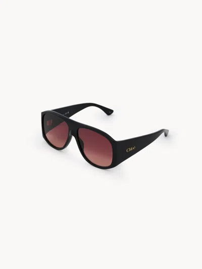 Chloé Izia Sunglasses In Black