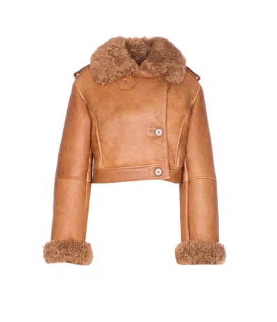 Chloé Cropped Shearling-trimmed Leather Jacket In Brown