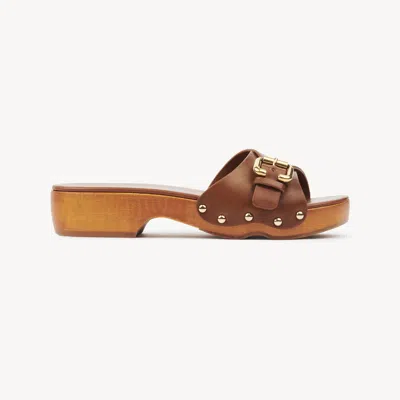 Chloé Jeannette Mule Clog Brown Size 7 100% Calf-skin Leather, Triplochiton Scleroxylon, Farmed, Coo Camer
