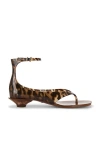Chloé Brown Jelly Sandal With Animal Print And Flat Sandal In Brown