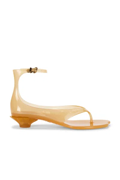 Chloé Jelly Sandal In Brown