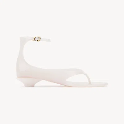 Chloé Jelly Sandal Pink Size 4 100% Thermoplastic Polyurethane