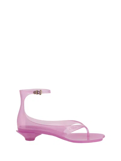 Chloé Chloe Women Fluo Pink Tpu Chloe Jelly Thong Sandals In Pink Fizz