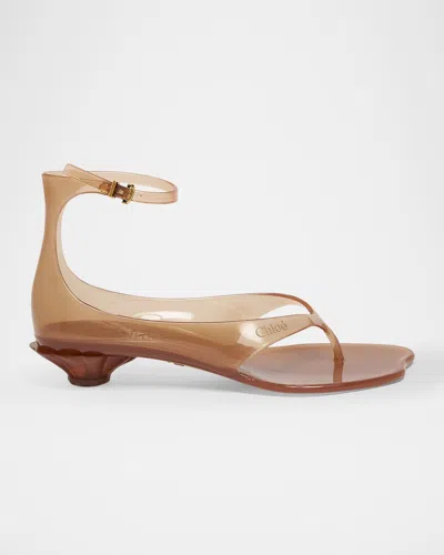 Chloé Chloe Women Biscuit Tpu Chloe Jelly Thong Sandals In Brown
