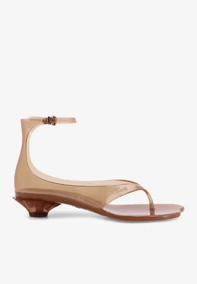 Chloé Chloe Women Biscuit Tpu Chloe Jelly Thong Sandals In Brown