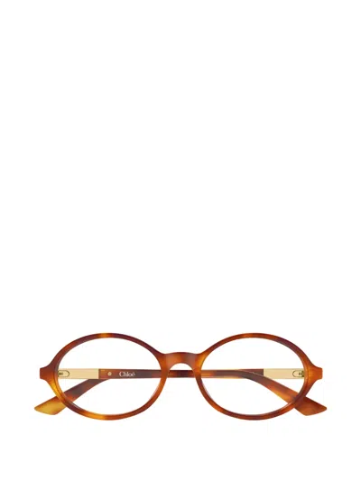 Chloé Judy Glasses In Brown