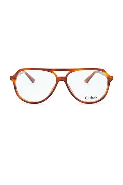 Chloé Judy Pilot Optical Eyeglasses In Multi