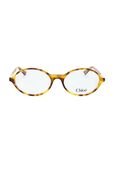 Chloé Judy Round Optical Eyeglasses In Multi