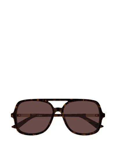 Chloé Judy Sunglasses In Brown