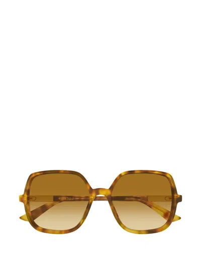 Chloé Judy Round-frame Tortoiseshell Acetate Sunglasses In Yellow
