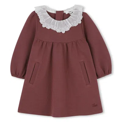 Chloé Long-sleeved Dress With Ruffles In Brown