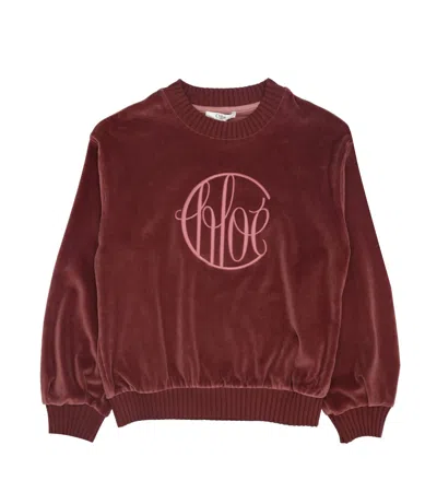 Chloé Chloè Kids Sweaters Bordeaux In Burgundy