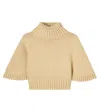 Chloé Turtleneck Cotton And Wool Sweater In Brown
