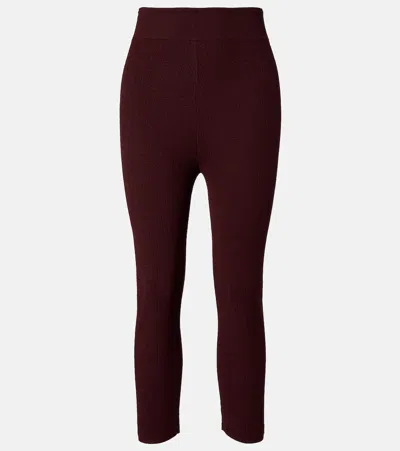 Chloé Knitted Capri Pants In Brown