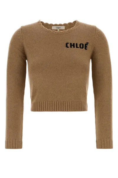Chloé Camel Wool Blend Sweater In Brown