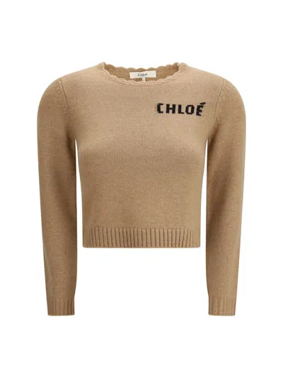 Chloé Knitwear In Brown