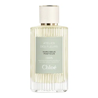 Chloé Chloe Ladies Atelier Des Fleurs Narcissus Poeticus Edp Spray 5.0 oz Fragrances 3616301785552 In Transparent