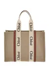 Chloé Chloe Women Multicolor Canvas Medium Woody Shopping Bag In Neutral