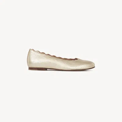 Chloé Lauren Ballerinas Gold Size 12.5c 100% Goatskin