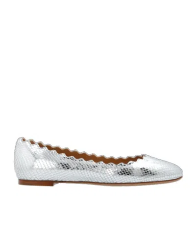 CHLOÉ CHLOÉ LAUREN BALLET FLATS