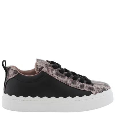 Chloé Chloe Lauren Low-top Leather Sneakers In Gray