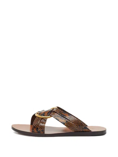 Pre-owned Chloé Lauren Python-embossed Flat Sandals In Brown