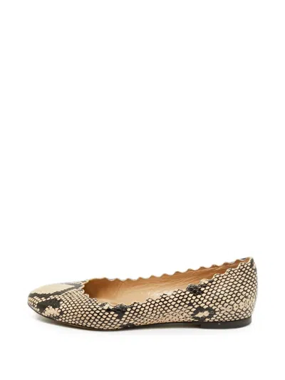 Pre-owned Chloé Lauren Scalloped Ballet Flats In Neutral