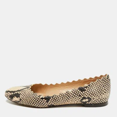 Pre-owned Chloé Lauren Scalloped Size 35.5 Beige/biege Python Embossed Leather Ballet Flats In Sand